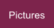 Pictures